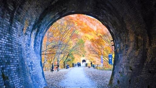 <Web割対象商品>【キングツアーバス旅】紅葉の「アプトの道」碓氷峠廃線ウォーキング〔多摩センター・聖蹟桜ヶ丘発〕2